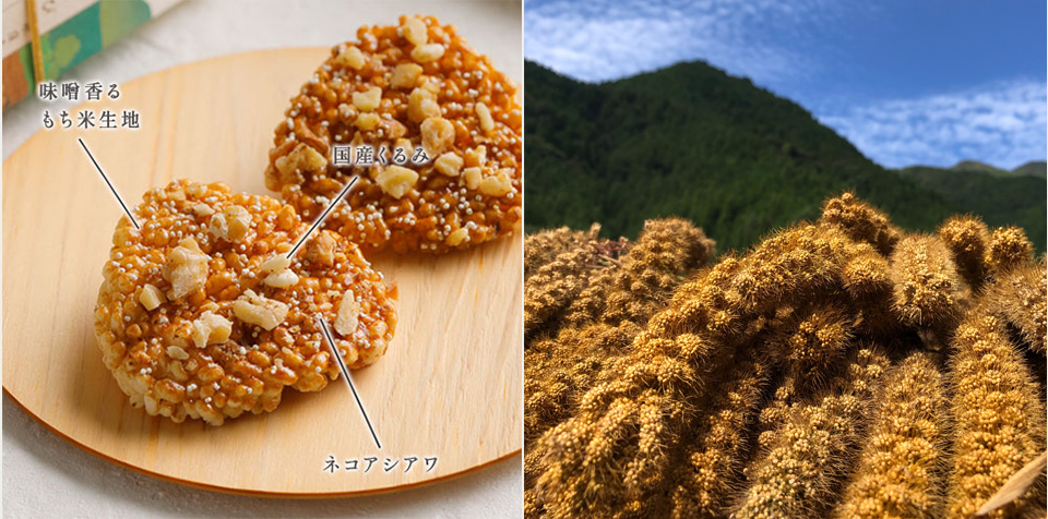 味噌とくるみのおせんべい