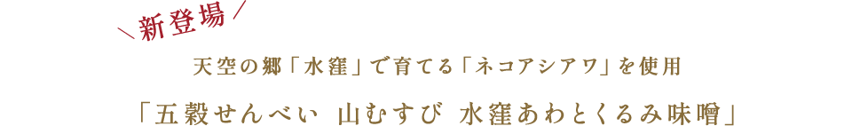 五穀せんべい 山むすび 水窪あわとくるみ味噌