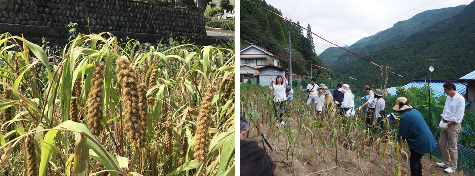 一夜限りの『水窪五穀ファーム&ダイニング2019』を開催いたしました