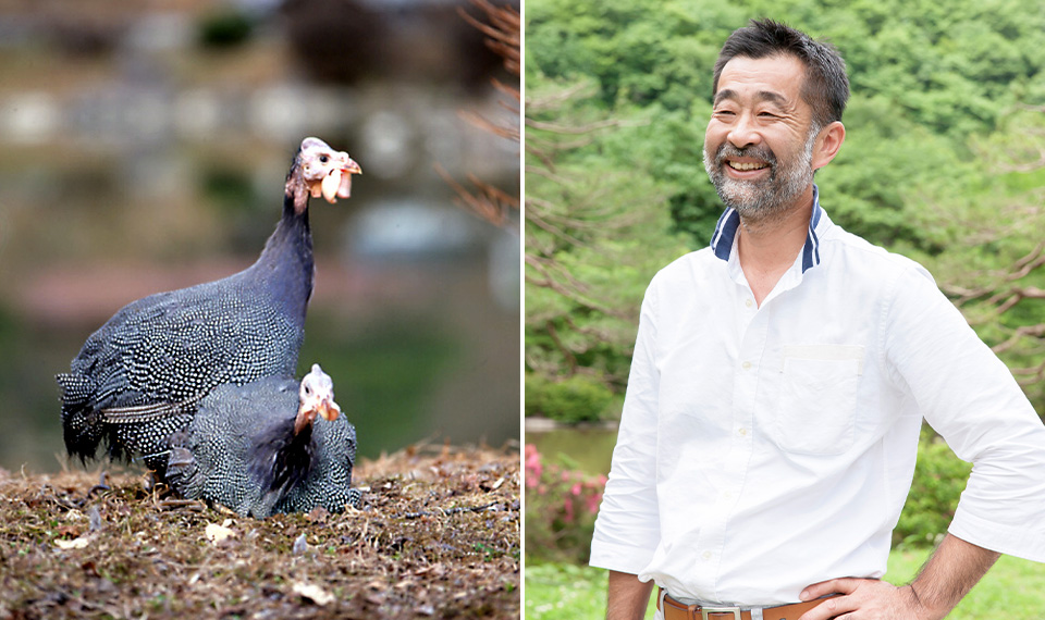 山むすび道しるべ:松本一平シェフ インタビュー