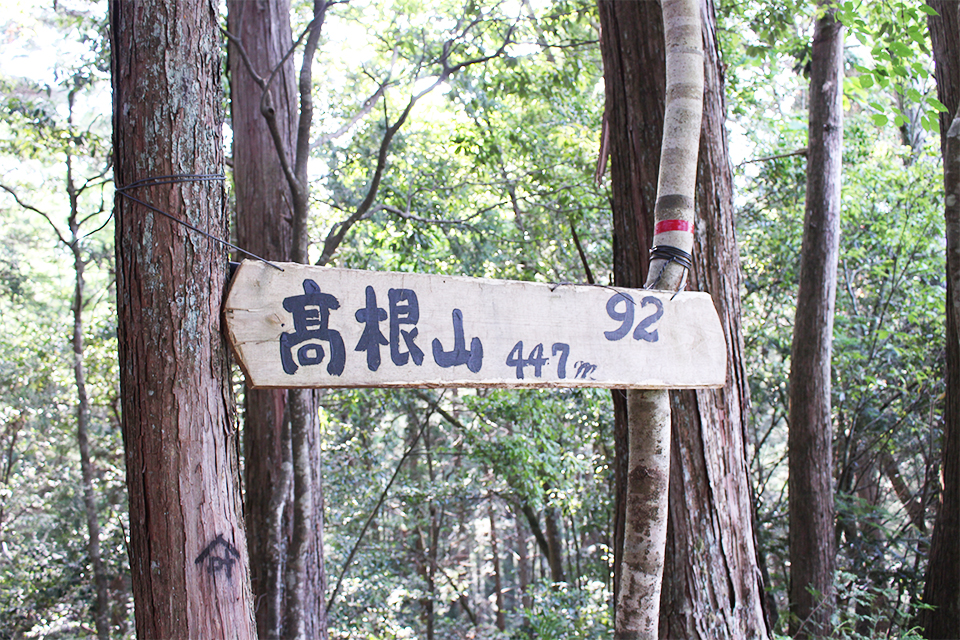 大河ドラマのロケ地になった、中世の山城「高根城」を訪ねる。