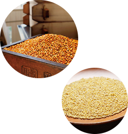 Grains and Fermentation image